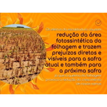 PROTETOR SOLAR - HORTALIÇAS E CULTURAS DIVERSAS - 1 LITRO 